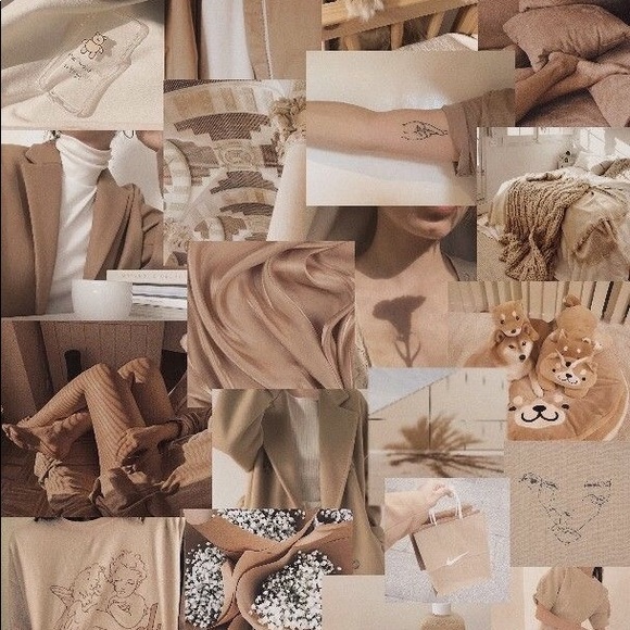 Meet your Posher, Ruby - Picture 2 of 7